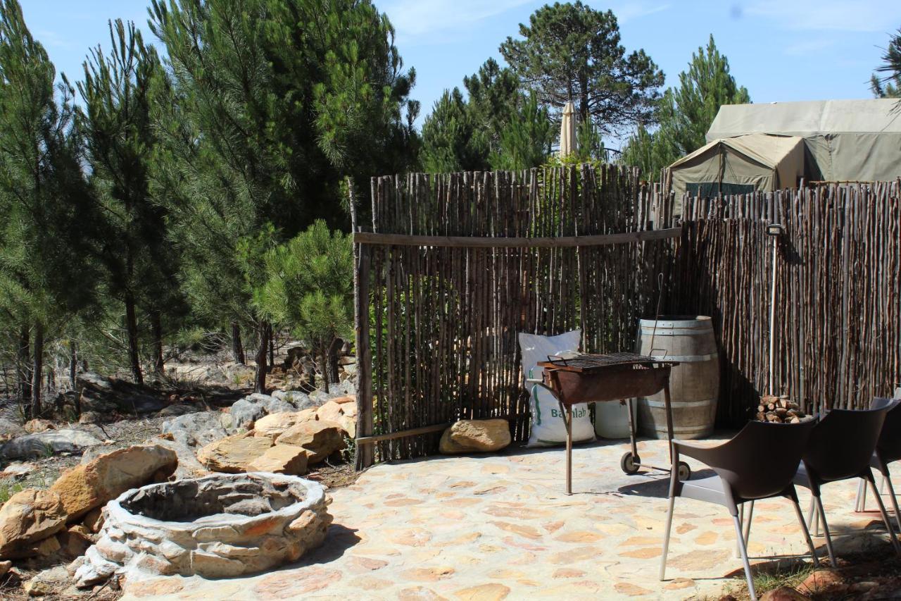 Otium Oasis Glamping & Camping Hartebeesrivier エクステリア 写真