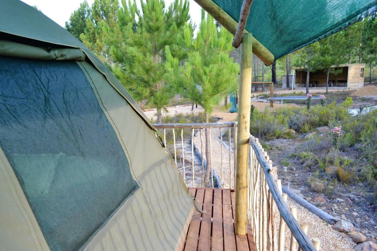 Otium Oasis Glamping & Camping Hartebeesrivier エクステリア 写真